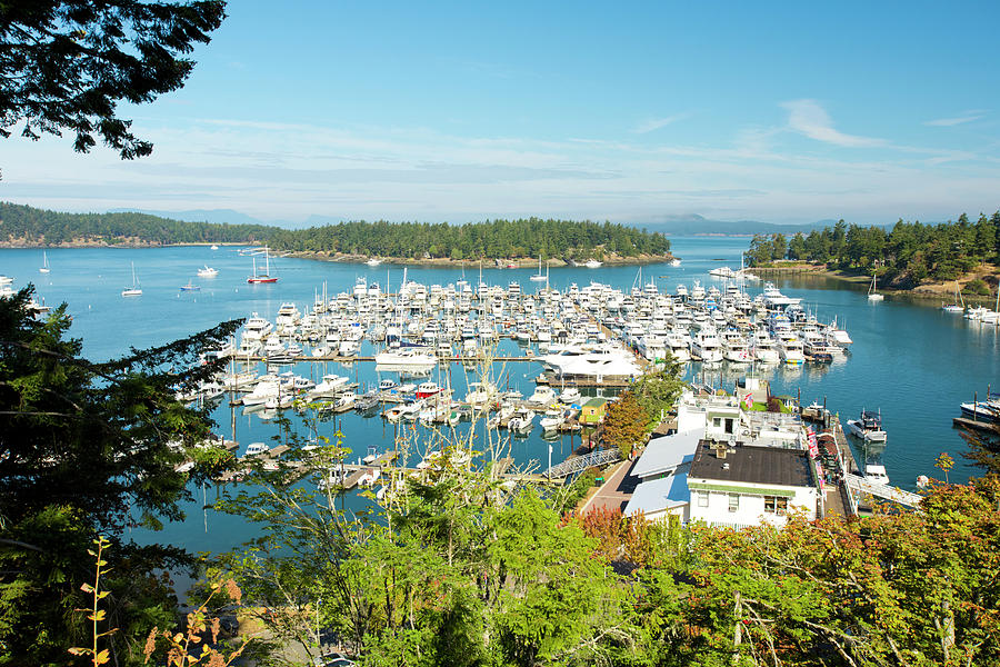 Roche Harbor On San Juan Island Photograph by Rob Hammer