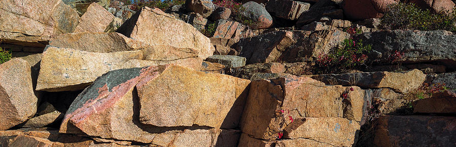 Rock Formations, Mount Desert Island #2 Photograph by Panoramic Images