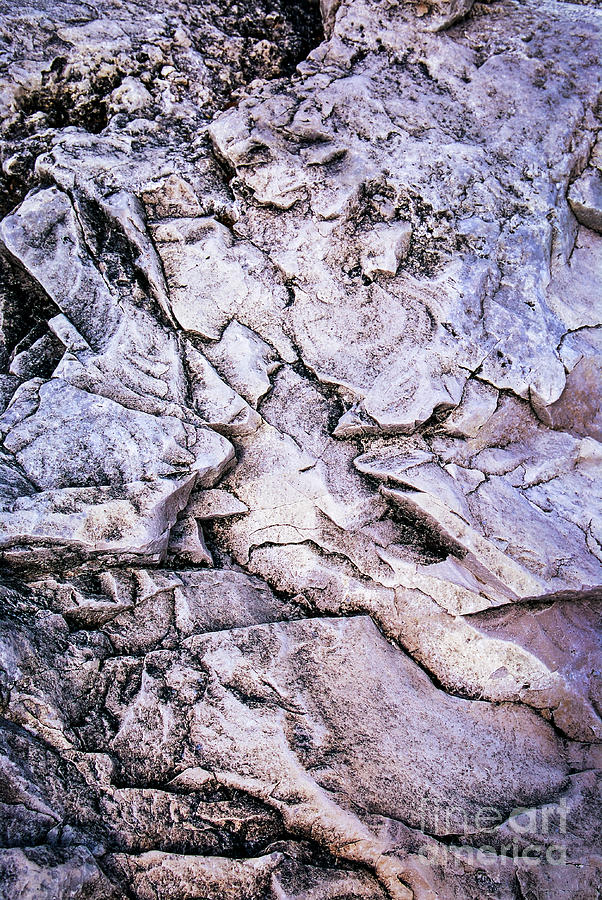 Pattern Photograph - Rocks at Georgian Bay 2 by Elena Elisseeva