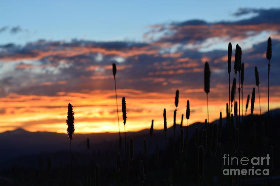 Mountain Photograph - Rocky Mountain Sunset #3 by Kate Avery