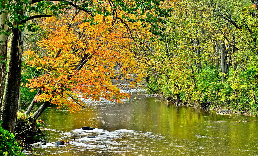 Rocky River Ohio #2 Photograph by Frozen in Time Fine Art Photography