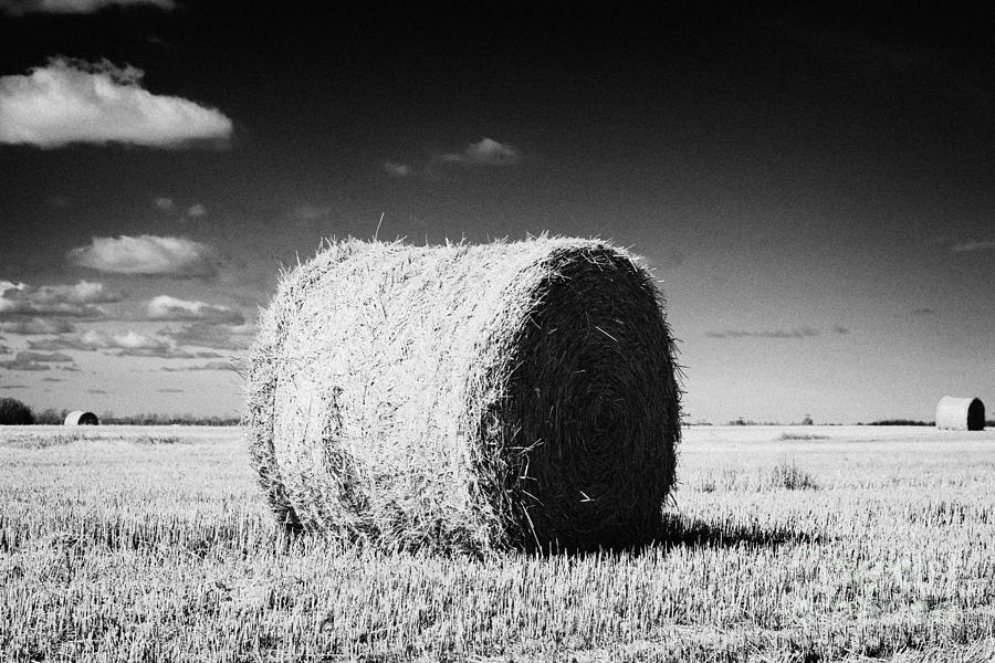 Landscape Photograph - rolled hay bales on the prairies after harvest Saskatchewan Canada #2 by Joe Fox
