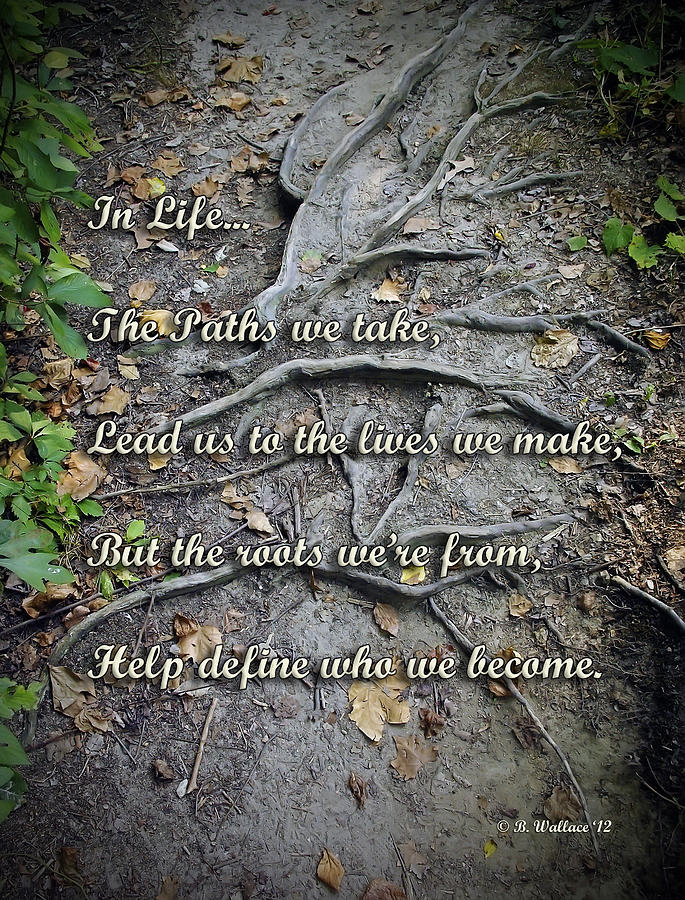 Roots Poem Photograph by Brian Wallace