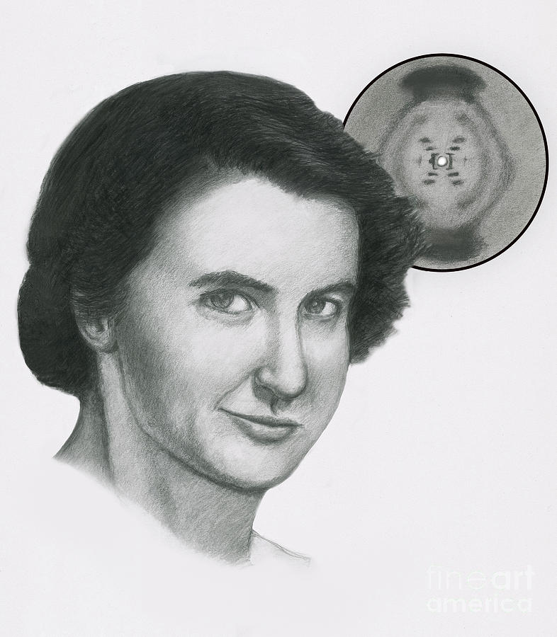 Rosalind Franklin Photograph by Spencer Sutton | Fine Art America