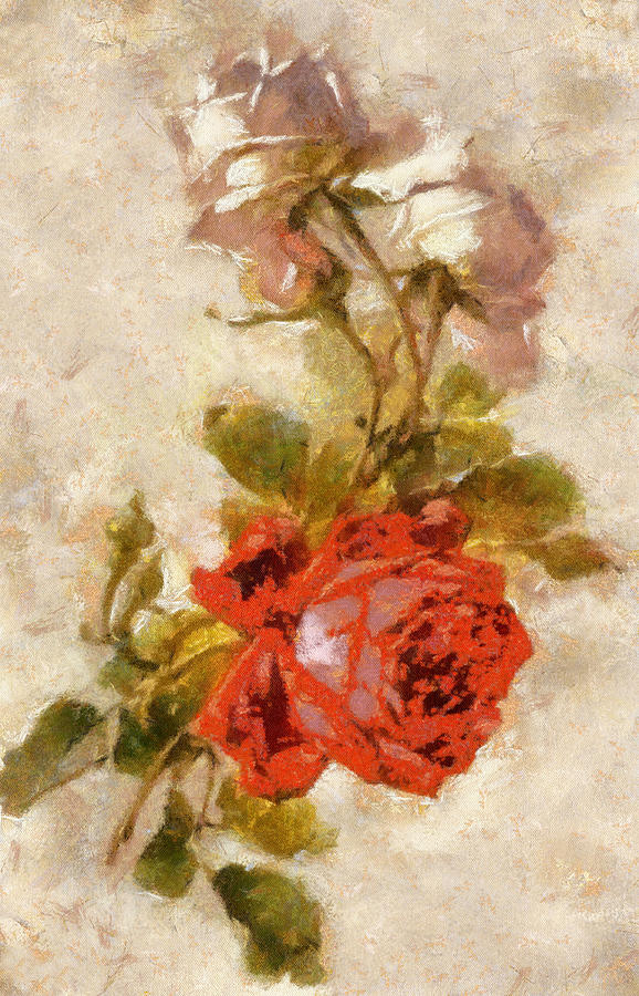Roses #2 Digital Art by Charmaine Zoe