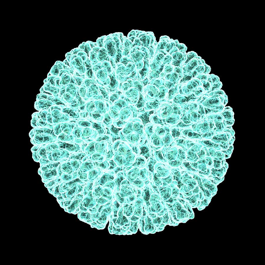 Rotavirus #2 Photograph by Science Photo Library Rotavirus #2 Photograph by Science Photo Library