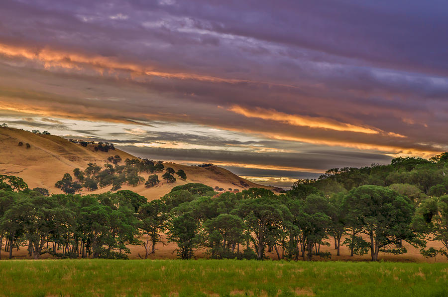 Round Valley Sunrise #2 Photograph by Marc Crumpler