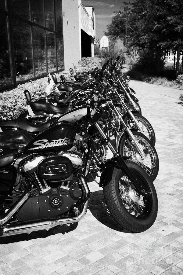 Motorcycle Photograph - Row Of Harley Davidson Motorbikes Including Sportster Outside Motorcycle Dealership Orlando Florida  #2 by Joe Fox