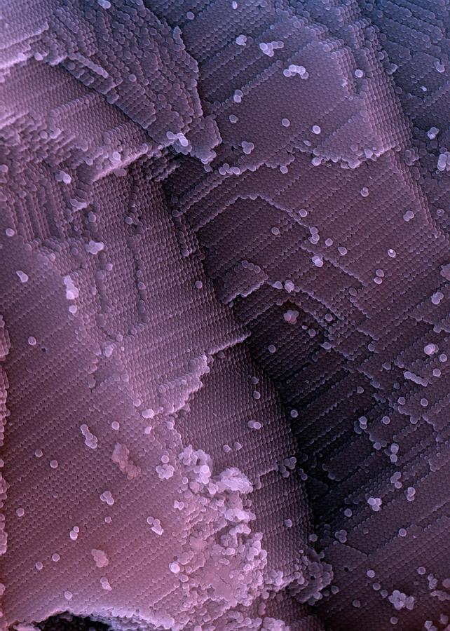 Ruby Crystals Photograph by Stefan Diller/science Photo Library