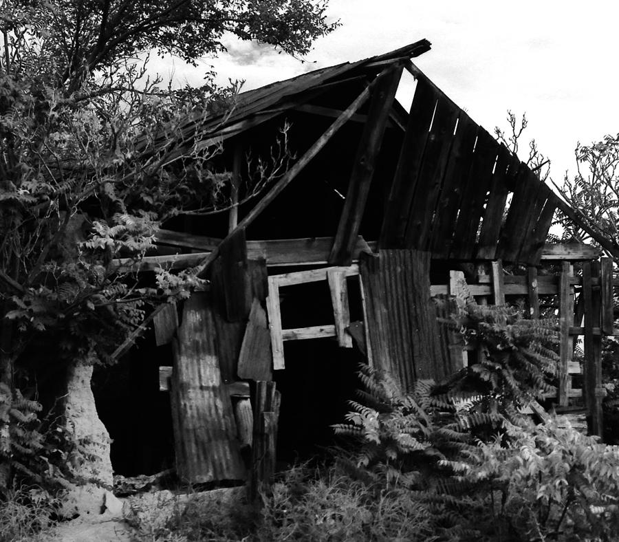 Ruin #2 Photograph by Erika Jean Chamberlin