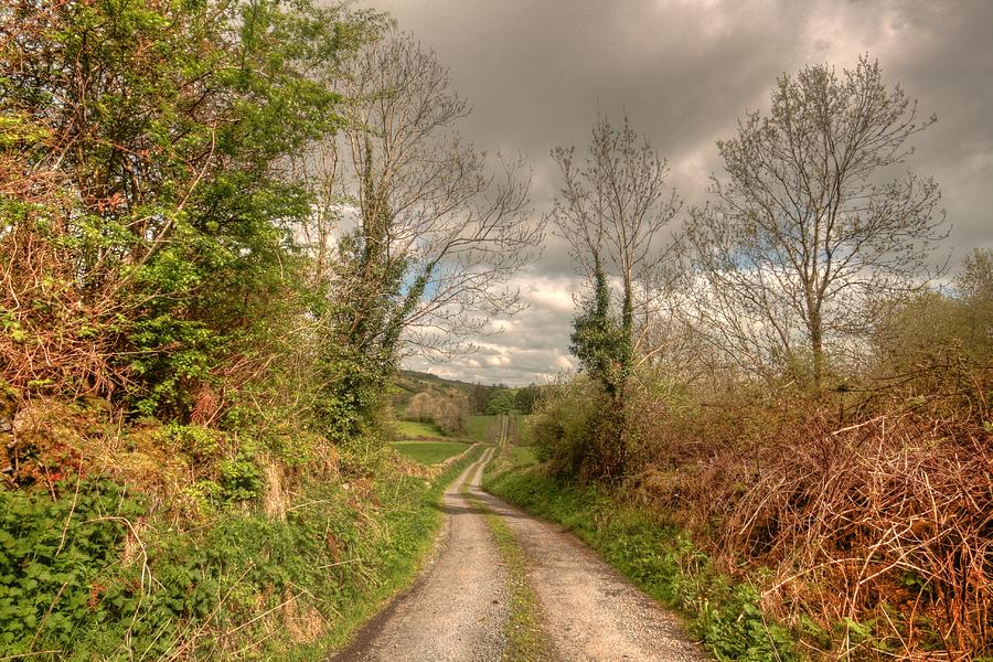 Rural Irish Road #2 Photograph by John Quinn