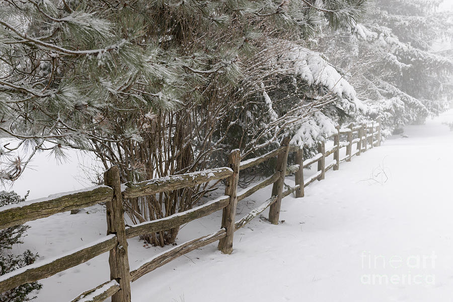 Rural winter scene with fence 3 Photograph by Elena Elisseeva
