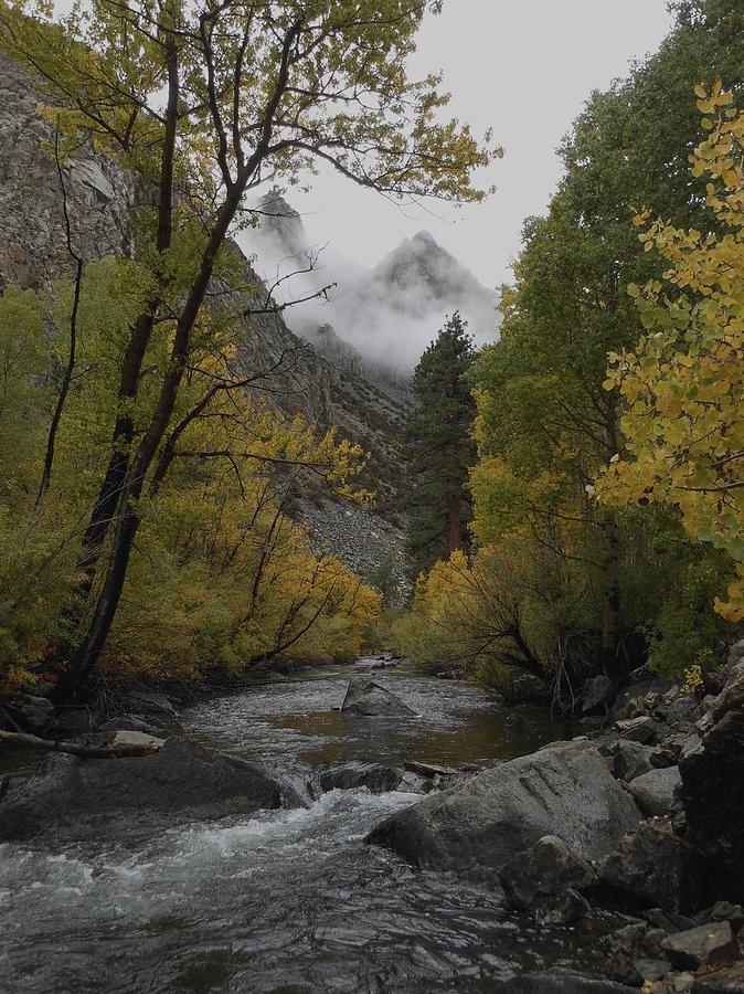 Rush Creek Aspen Trees Aerie Crag by Don Kreuter Rush Creek Aspen Trees Aerie Crag by Don Kreuter