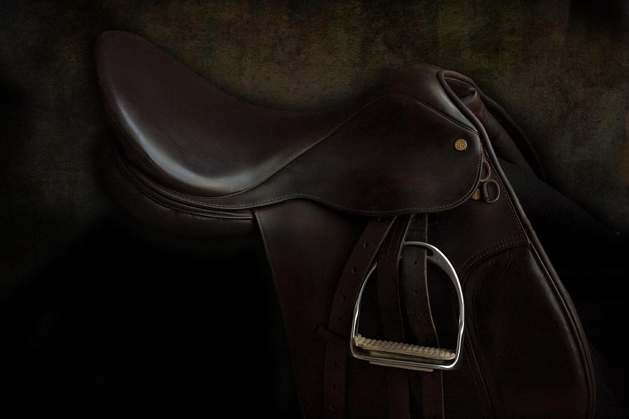 Saddle 2 by M Davis Saddle 2 by M Davis