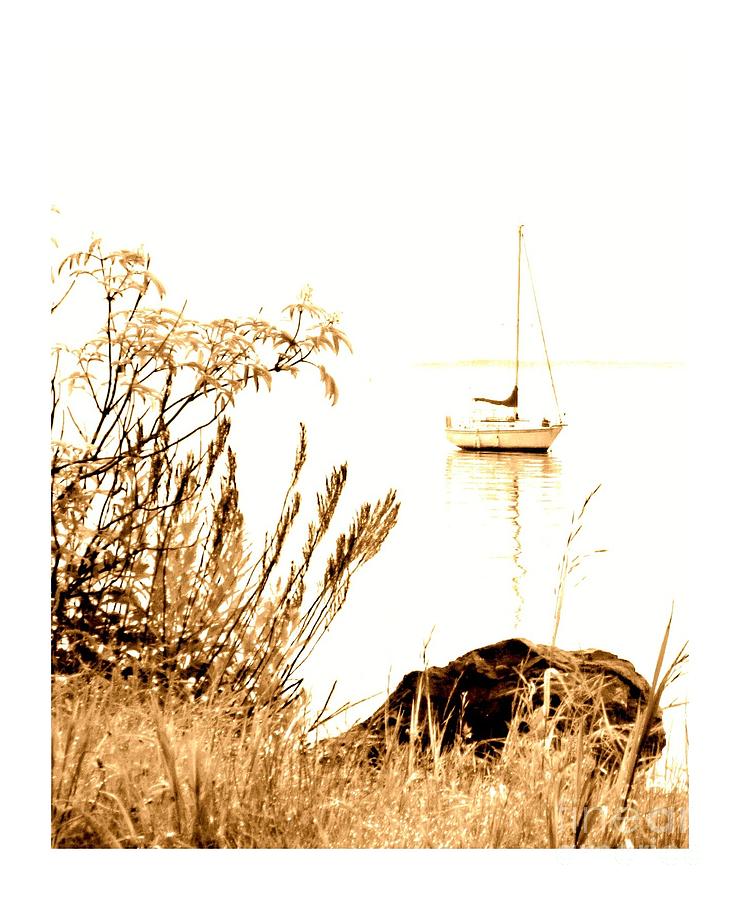 SAILBOAT by Barbara Henry SAILBOAT by Barbara Henry
