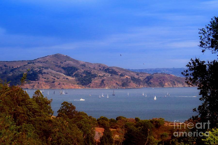 Sailing San Francisco Bay #2 Photograph by Scott Cameron