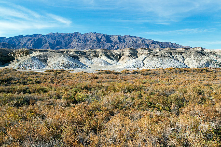 Salt Creek Death Valley National Park #2 Photograph by Fred Stearns