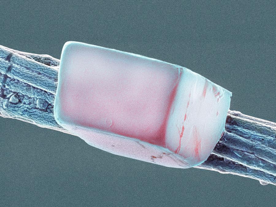 Salt Crystal On Spider Silk Photograph by Dennis Kunkel Microscopy/science Photo Library