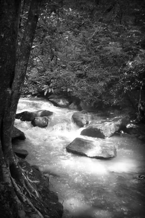 Saluda River #2 Photograph by Kelly Hazel