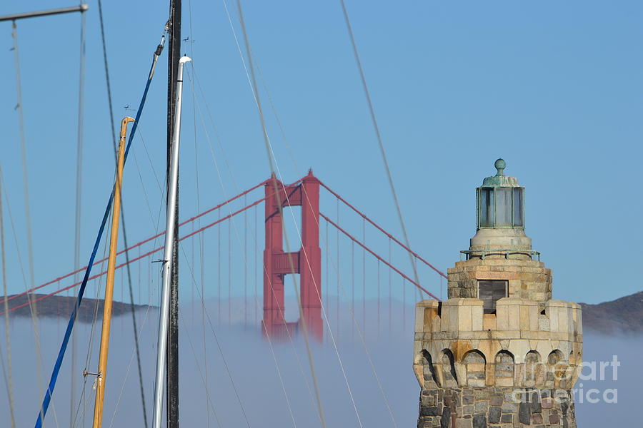 San Francisco Bridge-to-Bridge 12K Run #2 Photograph by Dean Ferreira