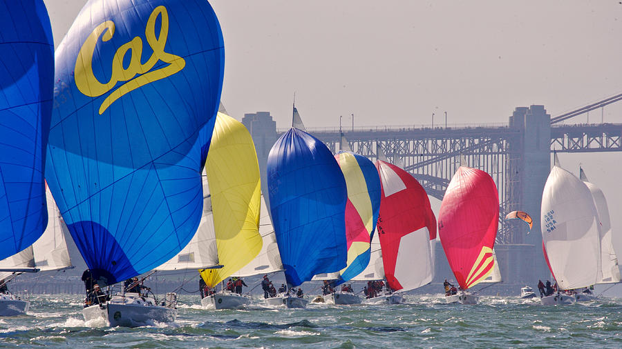 San Francisco Spinnakers #2 Photograph by Steven Lapkin