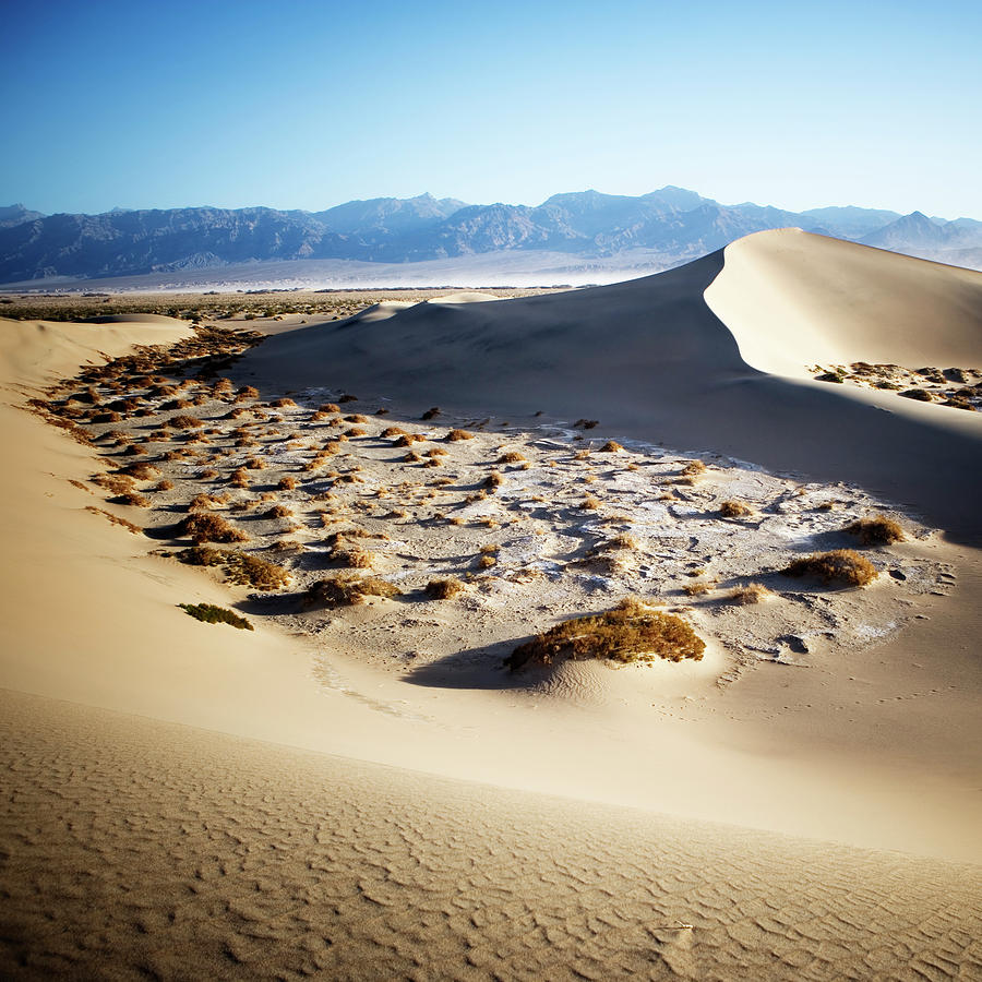 Sand Dunes In Death Valley National Photograph by Ron Koeberer - Fine ...