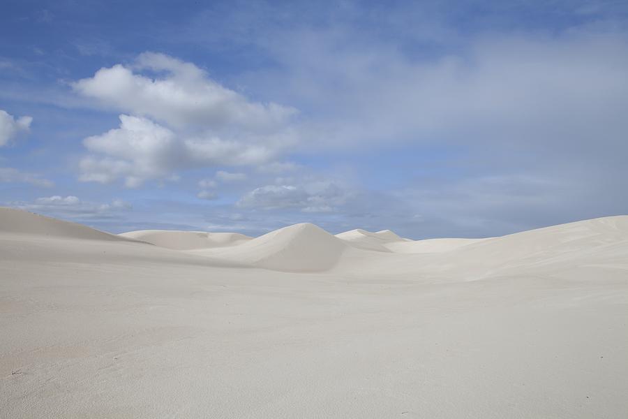 Sand dunes, Western Australia. Photograph by Science Photo Library ...