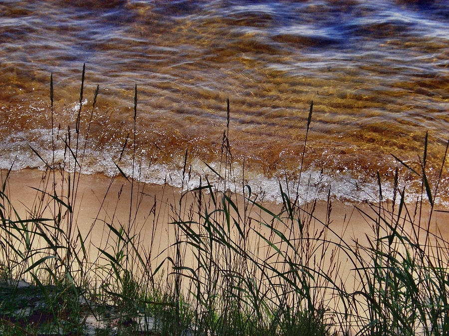 Beach Photograph - Sand Grass II #2 by Bill Noonan