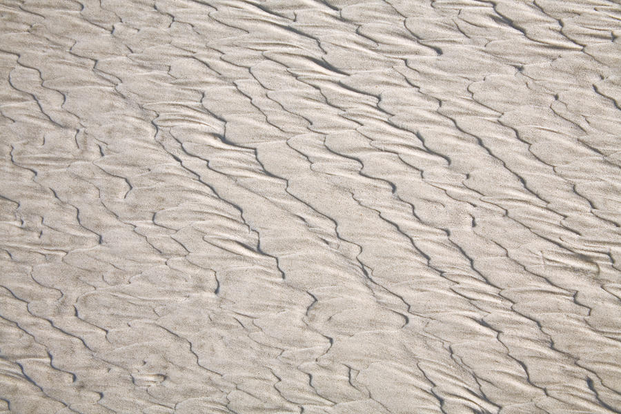 Sand Ripples Photograph by Diane Macdonald