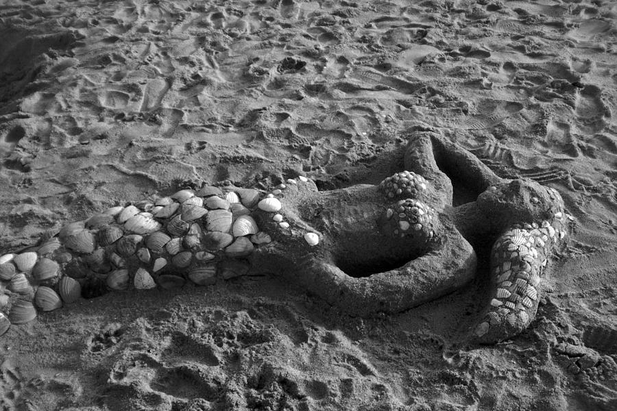 Sand Witch #2 Photograph by Timothy Fleming