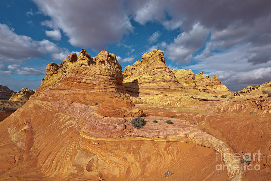 Sandstone Vermillion Cliffs N Photograph by Yva Momatiuk John Eastcott