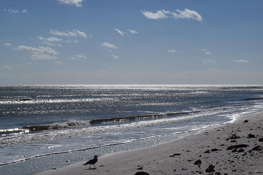 Sanibel Beach Horizon #2 Photograph by Curtis Krusie