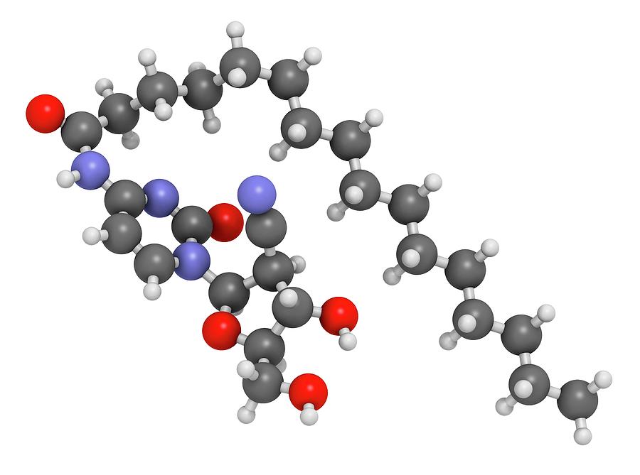 Sapacitabine Cancer Drug Molecule #2 Photograph by Molekuul/science Photo Library