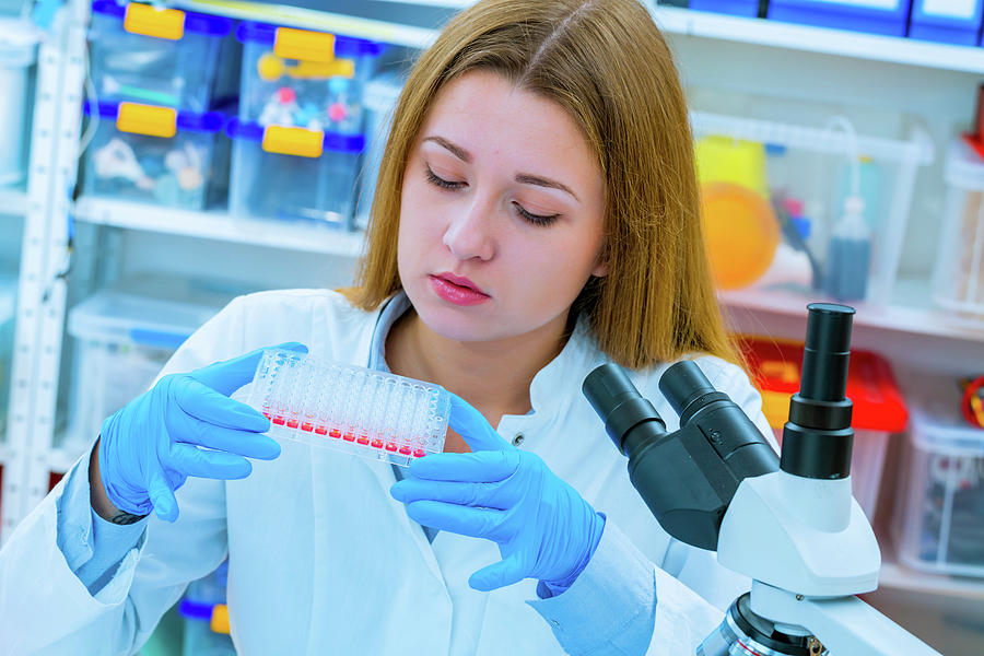 Biology Photograph - Scientist Holding Micro Test Tubes by Wladimir Bulgar/science Photo Library Biology Photograph - Scientist Holding Micro Test Tubes by Wladimir Bulgar/science Photo Library