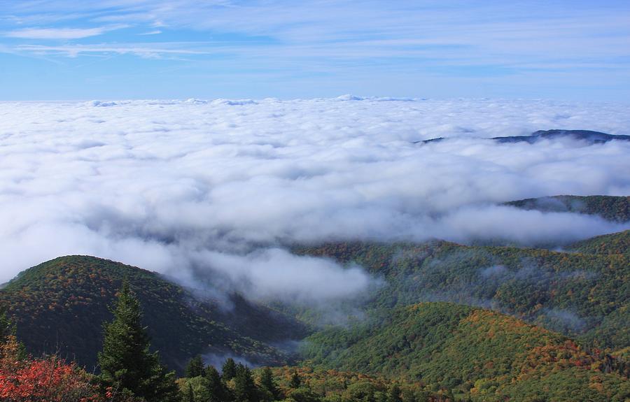 Sea Of Clouds On The Blue Ridge Photograph
