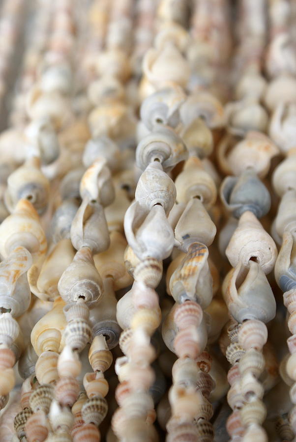 Sea Shell Decorations #4 Photograph by Ali Mohamad - Fine Art America