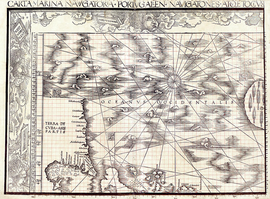 Section Of Waldseemuller's Carta Marina #2 by Library Of Congress ...