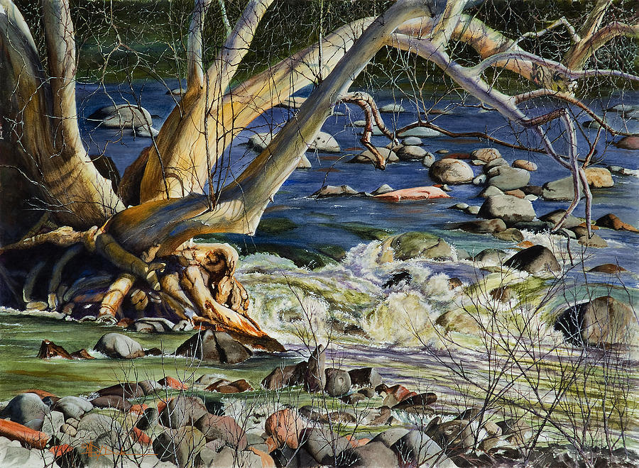Sedona Dry Beaver Creek Sycamore Painting by Mary Dove
