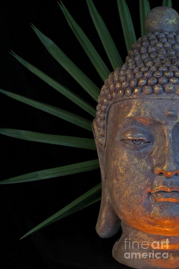 Eyes of Buddha Photograph by Dodie Ulery