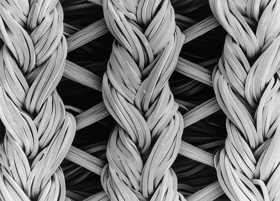 Sem Of Lycra/nylon Woven Fabric #2 Photograph by Science Photo Library Sem Of Lycra/nylon Woven Fabric #2 Photograph by Science Photo Library