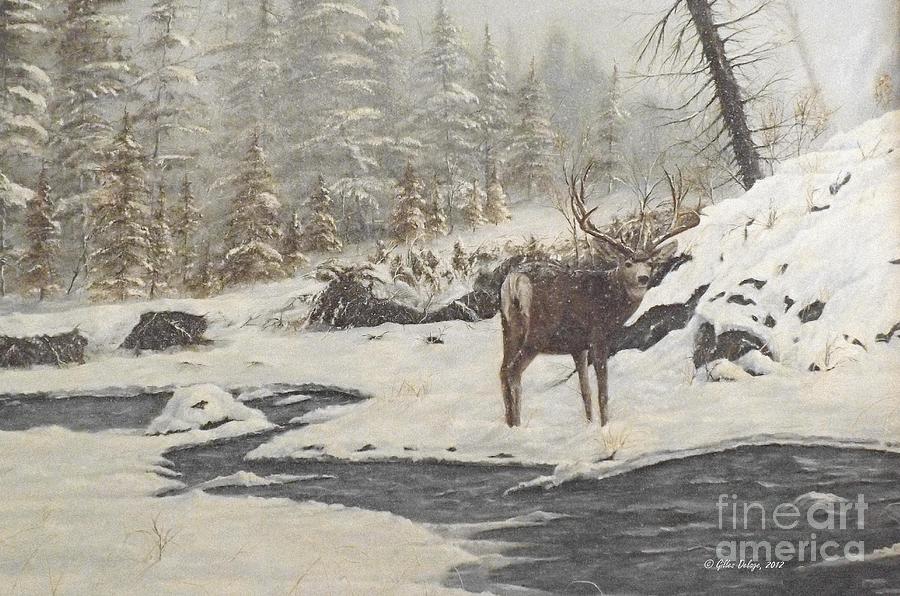 Deer Painting - Serenity by Gilles Delage