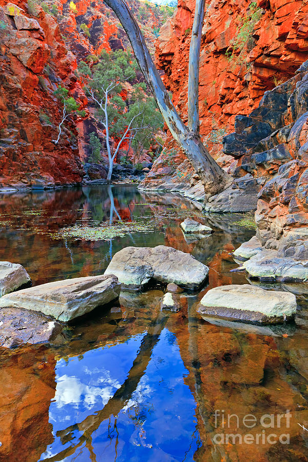 Serpentine Gorge Central Australia  #3 Photograph by Bill  Robinson