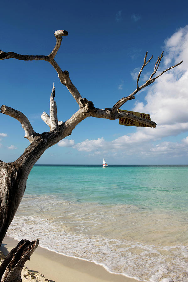 Seven Mile Beach, Negril, Jamaica #2 Photograph by Cultura Exclusive/karen Fox