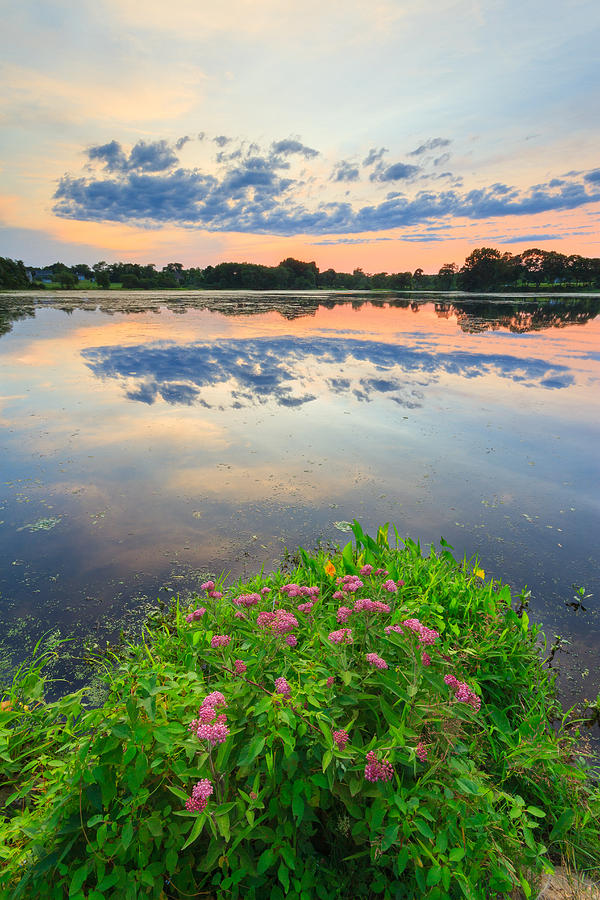 Shad Sunset #2 Photograph by Bryan Bzdula Shad Sunset #2 Photograph by Bryan Bzdula
