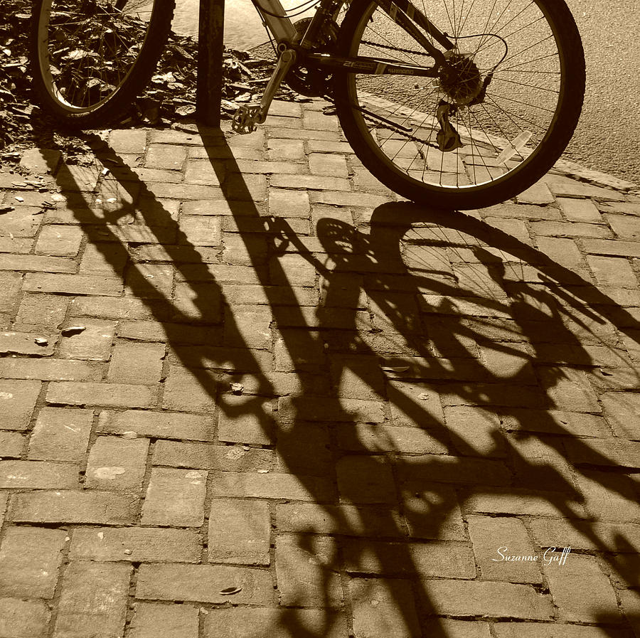 Shadow Play in sepia #2 Photograph by Suzanne Gaff
