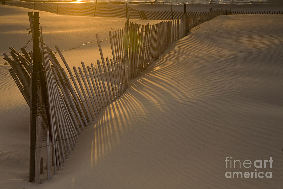 Sunset Photograph - Shadows by Timothy Johnson