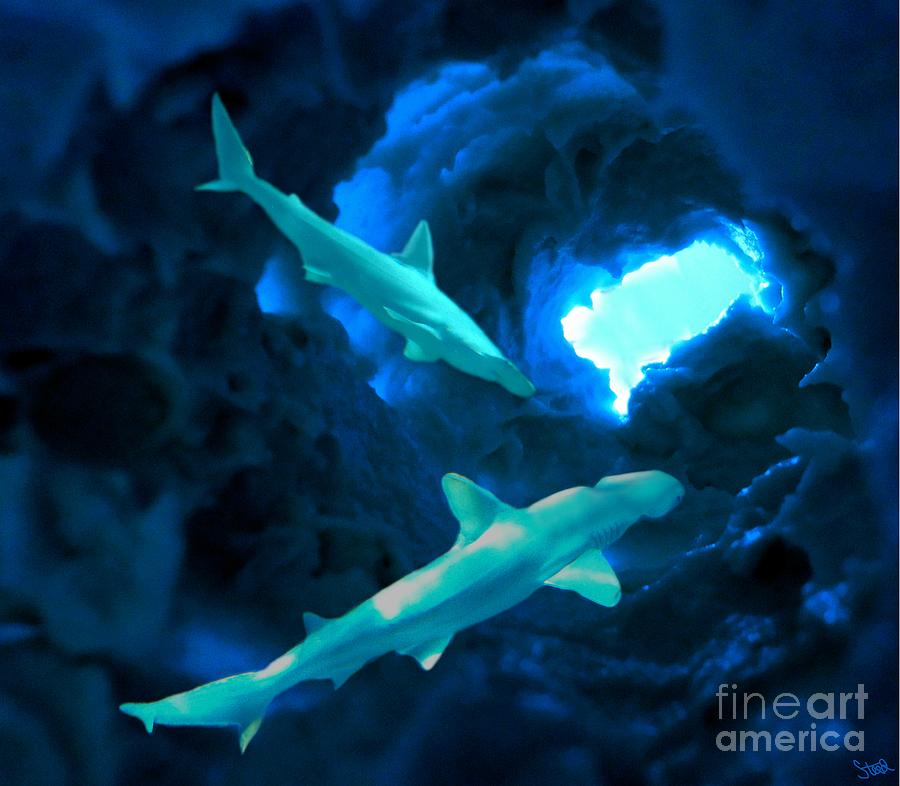 Shark Cave #2 Mixed Media by Steed Edwards