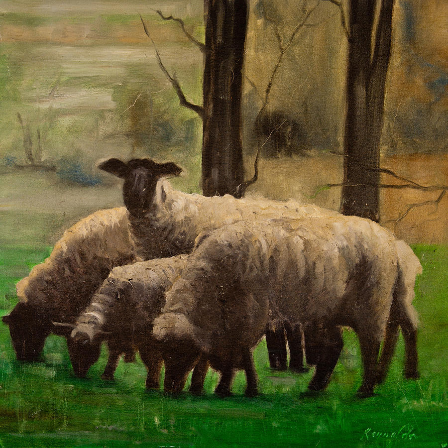 Sheep Painting - Sheep Family #2 by John Reynolds