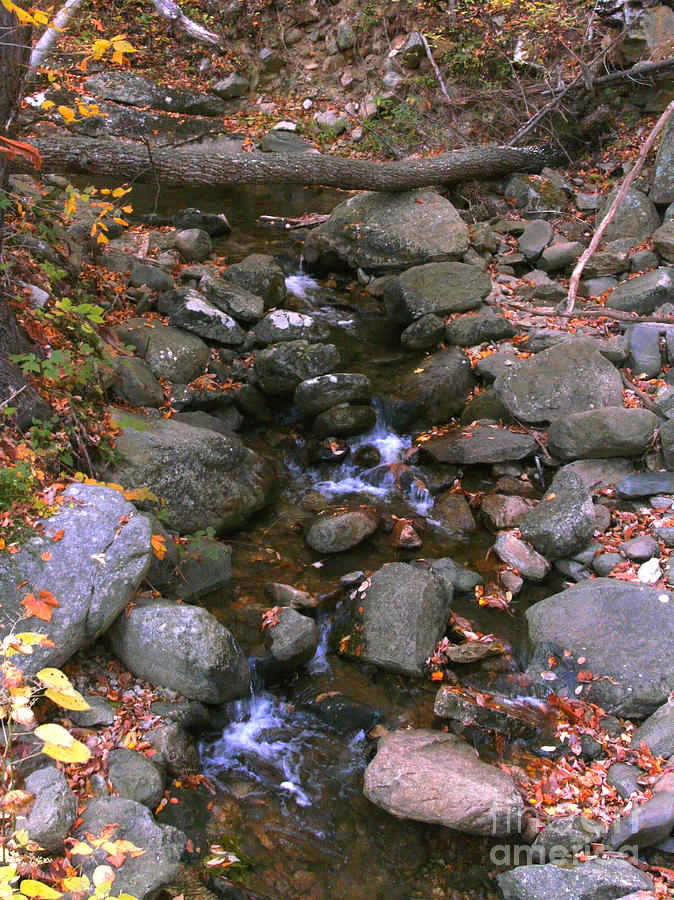 Shenandoah Stream #2 Photograph by Jemmy Archer