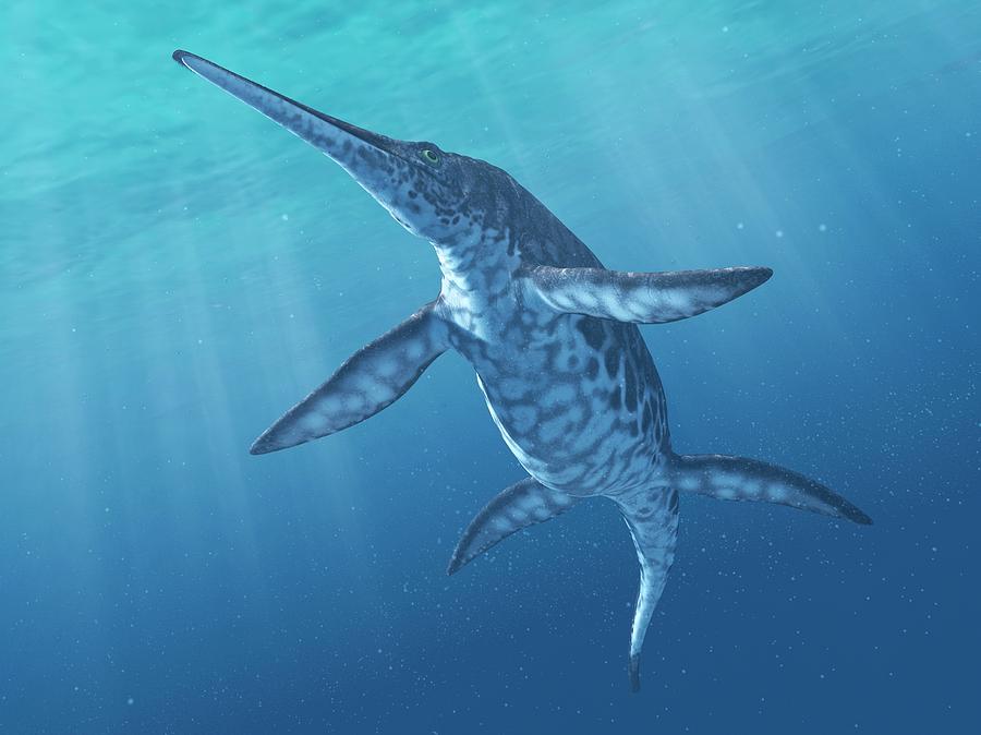 Shonisaurus Marine Reptile #2 Photograph by Sciepro/science Photo Library